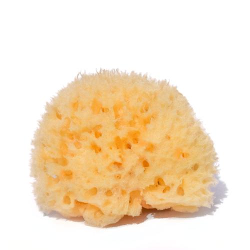 Natural sponge