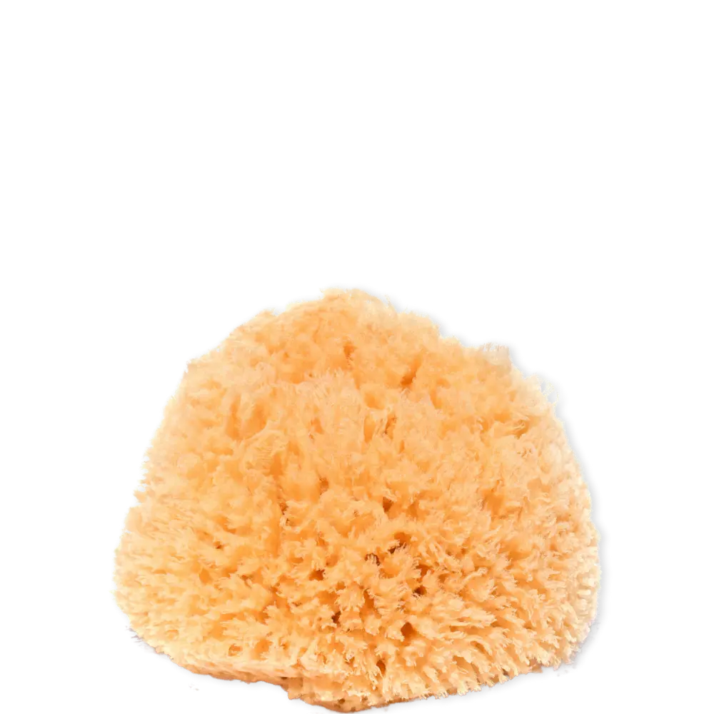 Naturschwamm