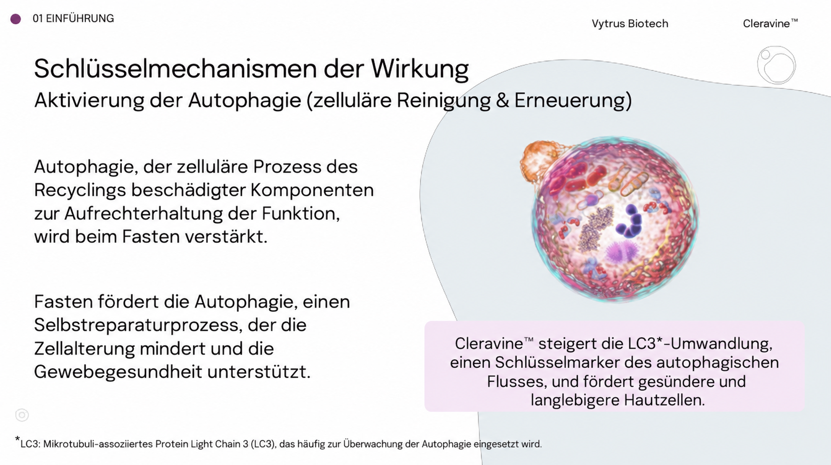 Wissenschaftliche Darstellung zur Wirkung von Cleravine™ auf die Haut