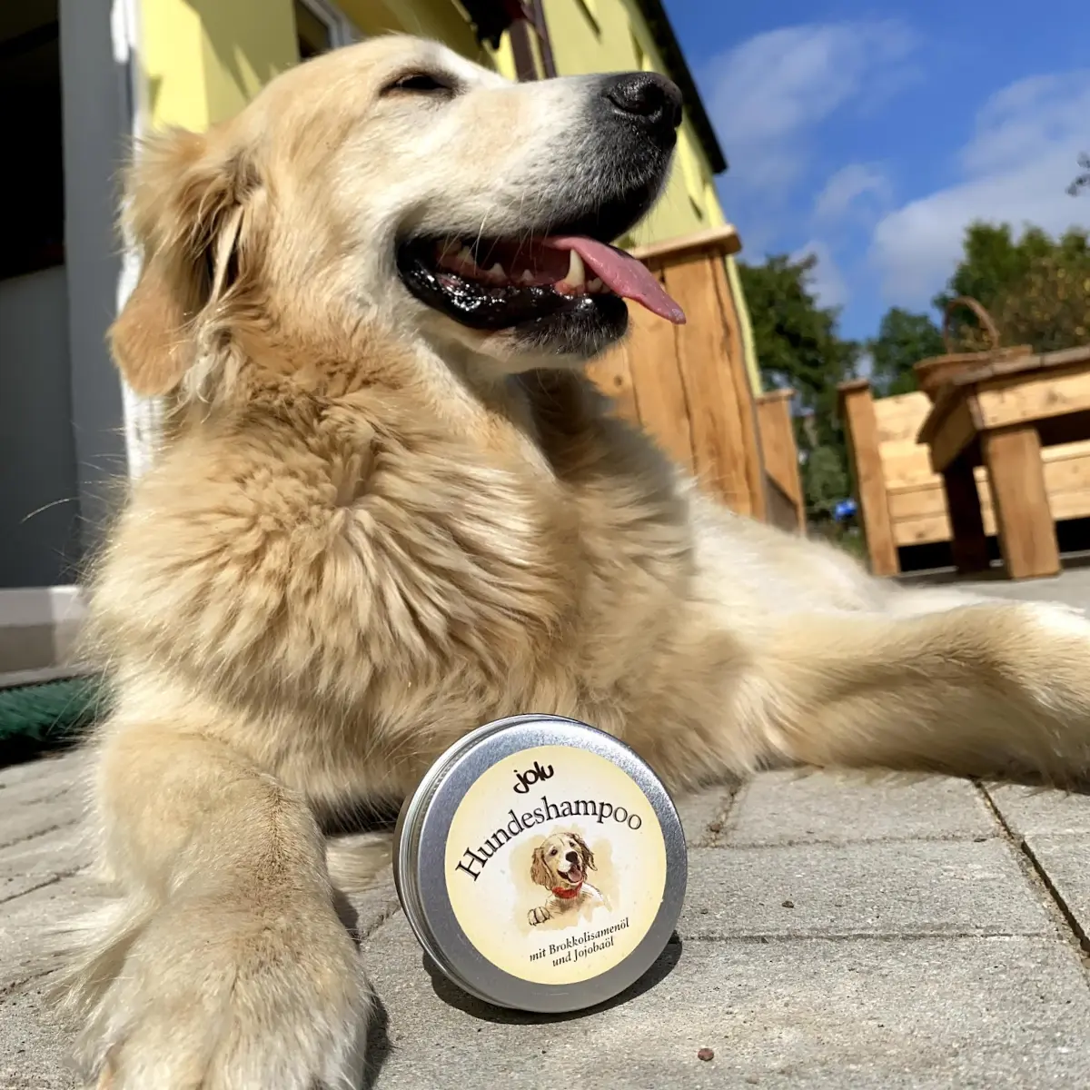 Hund mit Jolu Hundeshampoo.