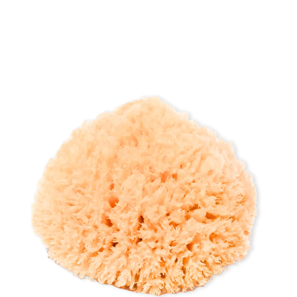 Naturschwamm für das Gesicht 14cm