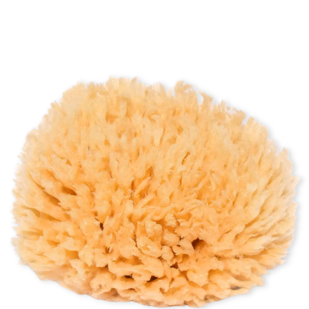 Naturschwamm