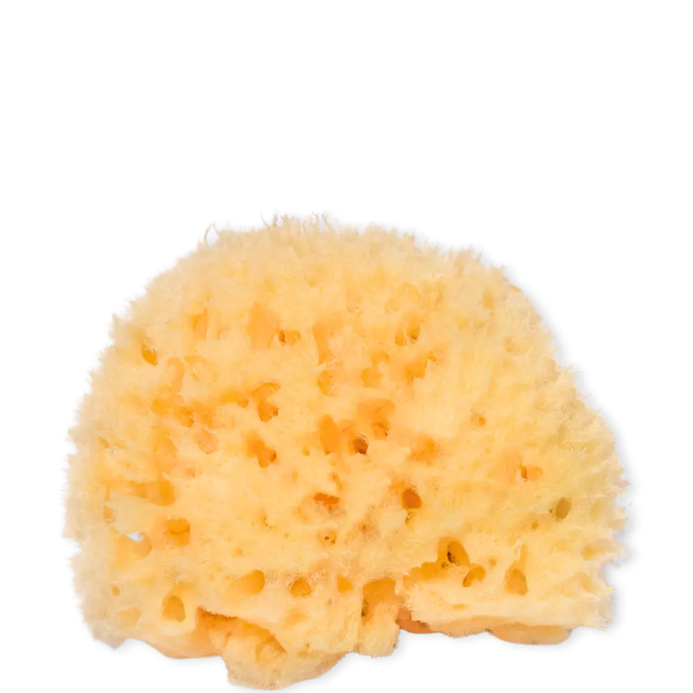 Naturschwamm