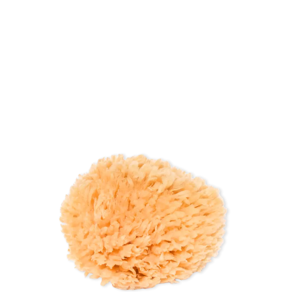 Naturschwamm